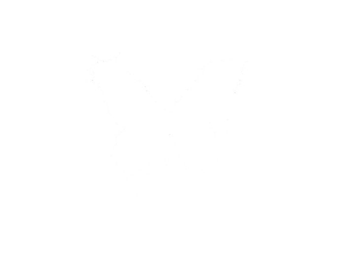 jflysecurity
